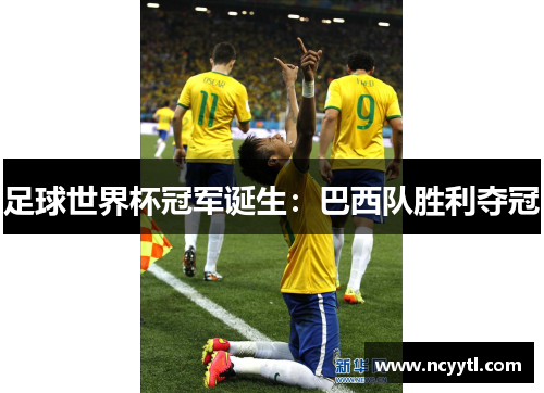 足球世界杯冠军诞生：巴西队胜利夺冠